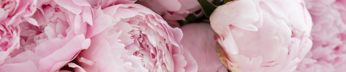 Bannière blog Aquarelle (8)