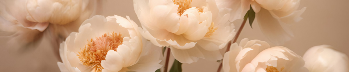 Bannière blog Aquarelle (9)