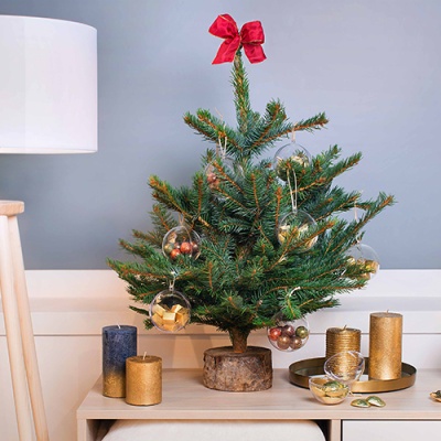 sapin-miliboo-500x500-2