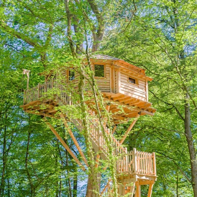 grand-reflets-arbres-520x560