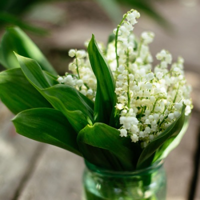 muguet-vase-450