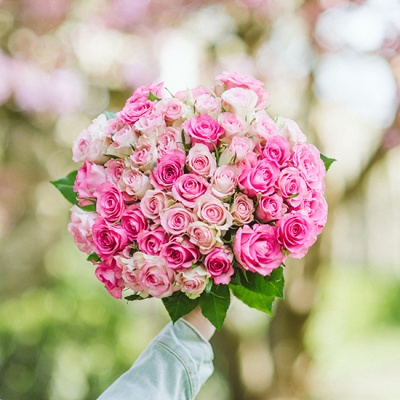 tendresse-pale-550x550 tendresse-pale-550x550